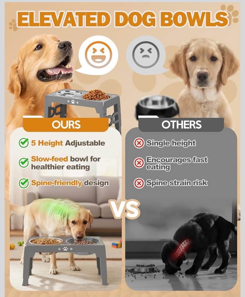 Elevated Dog Bowls with Stand, Raised Dog Bowl Set with 1 Thick Stainless Steel Dog Food Bowls & 1 S