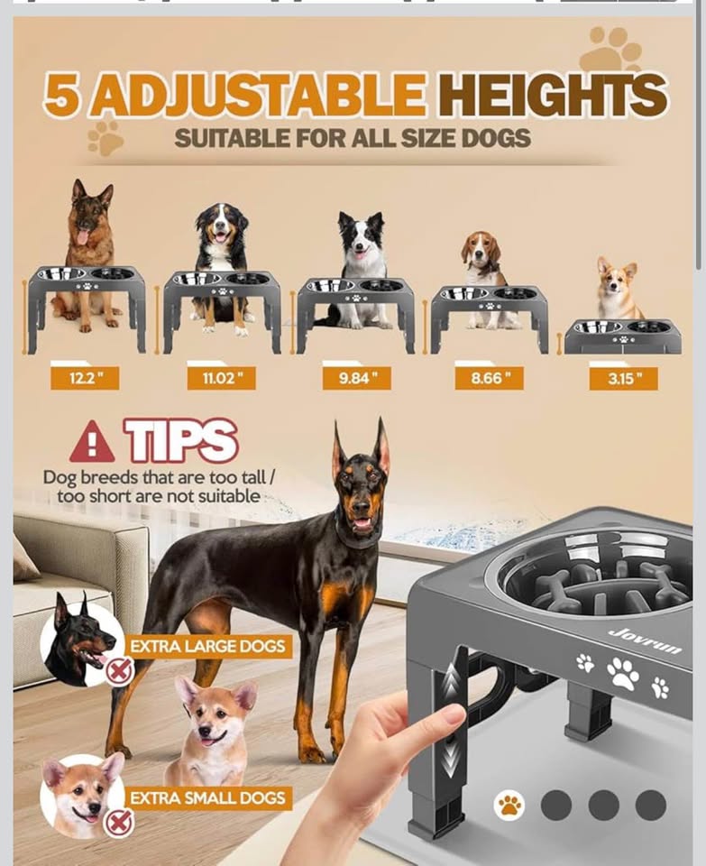 Elevated Dog Bowls with Stand, Raised Dog Bowl Set with 1 Thick Stainless Steel Dog Food Bowls & 1 S