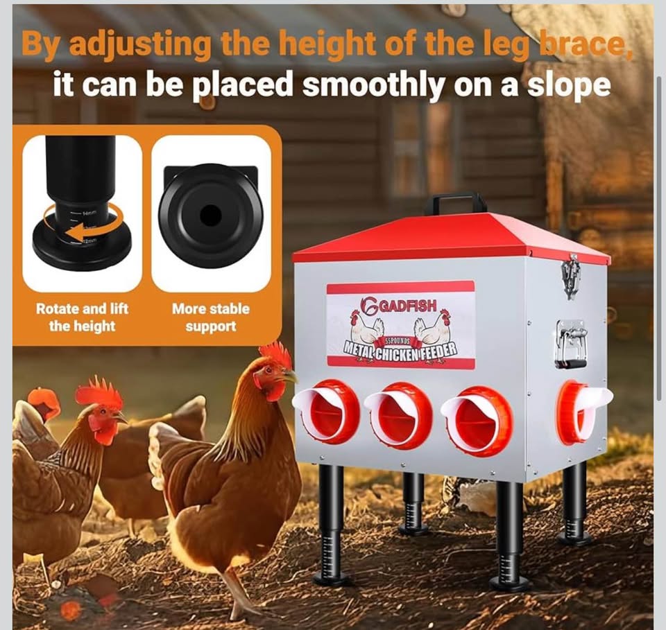 QADFISH 55 LBS Metal Chicken Feeder