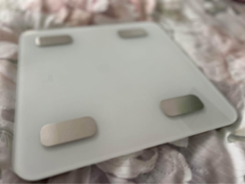 Smart body scale (Sharper Image)