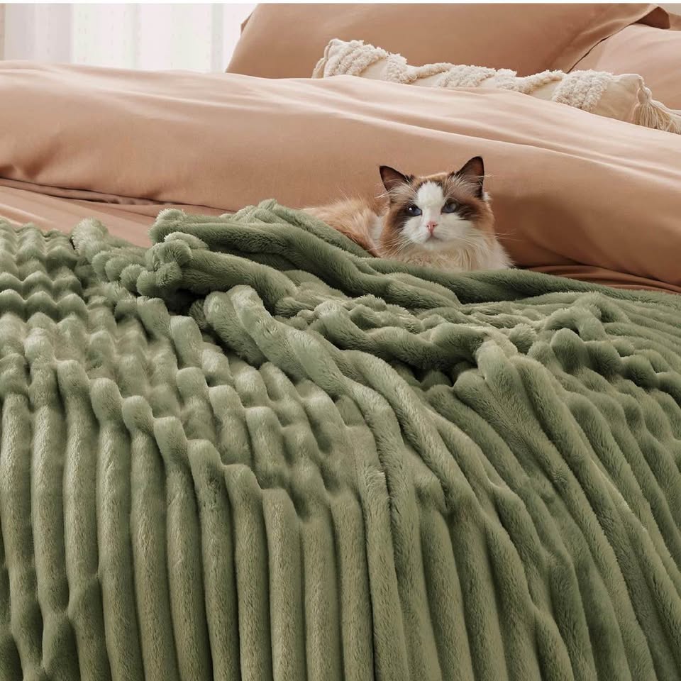 Bedsure Living Room Decor Throw Blanket Gifts for Women Men, Soft Fluffy Fleece Cozy Fuzzy Plush War