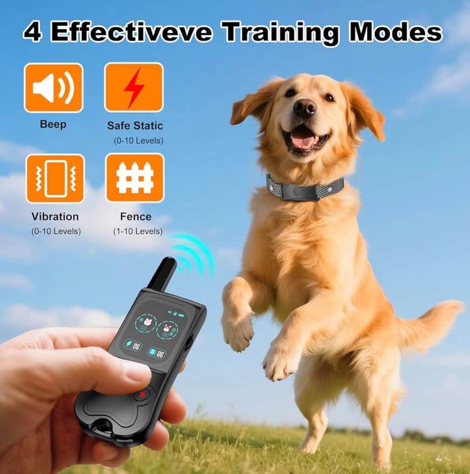 Wireless dog fence and training collar