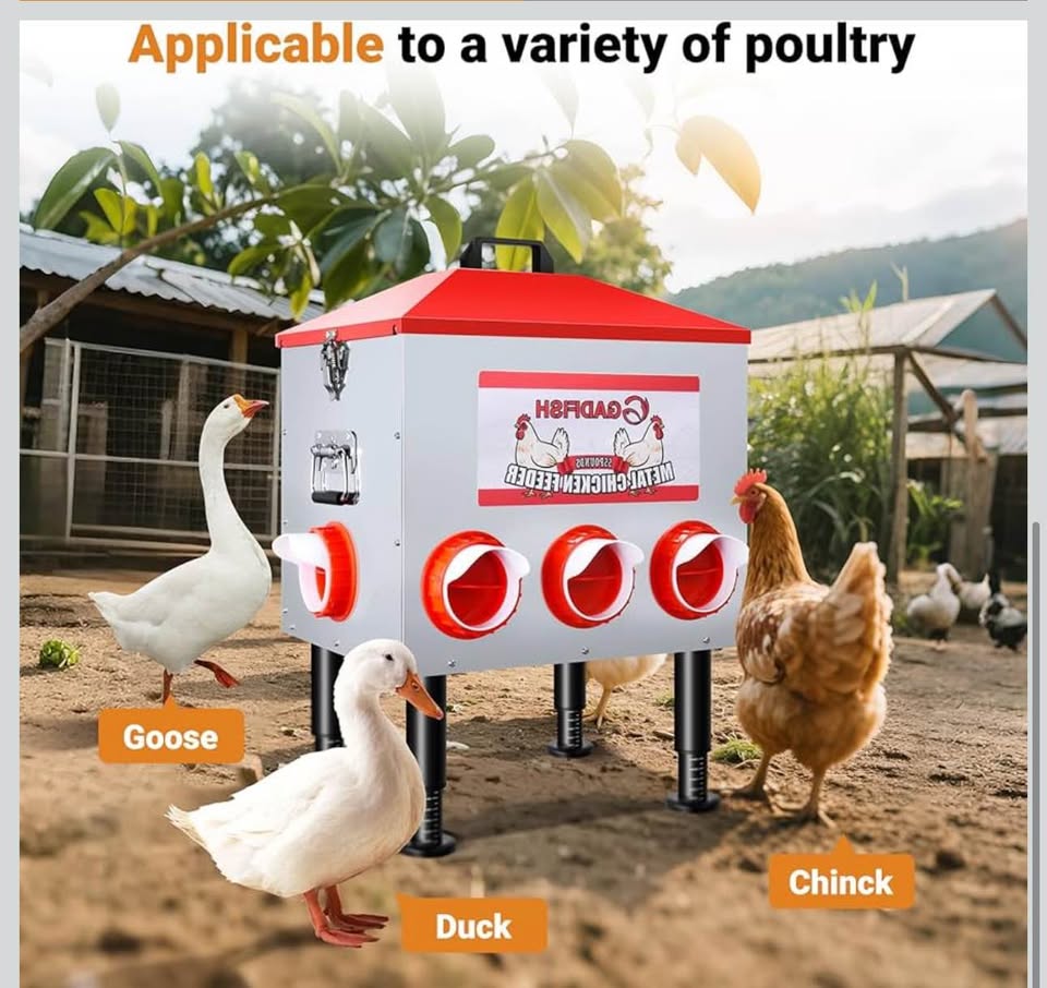 QADFISH 55 LBS Metal Chicken Feeder