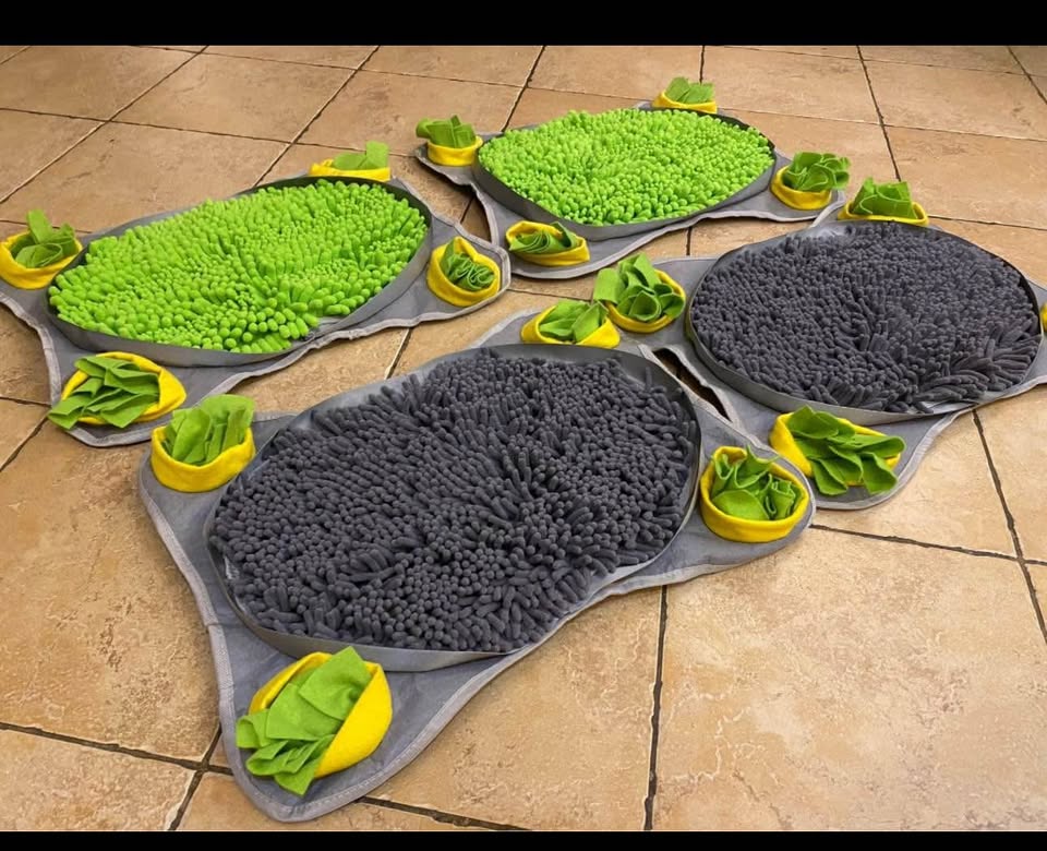 Brand new dogs snuggle mat