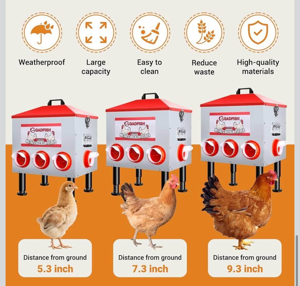 QADFISH 55 LBS Metal Chicken Feeder