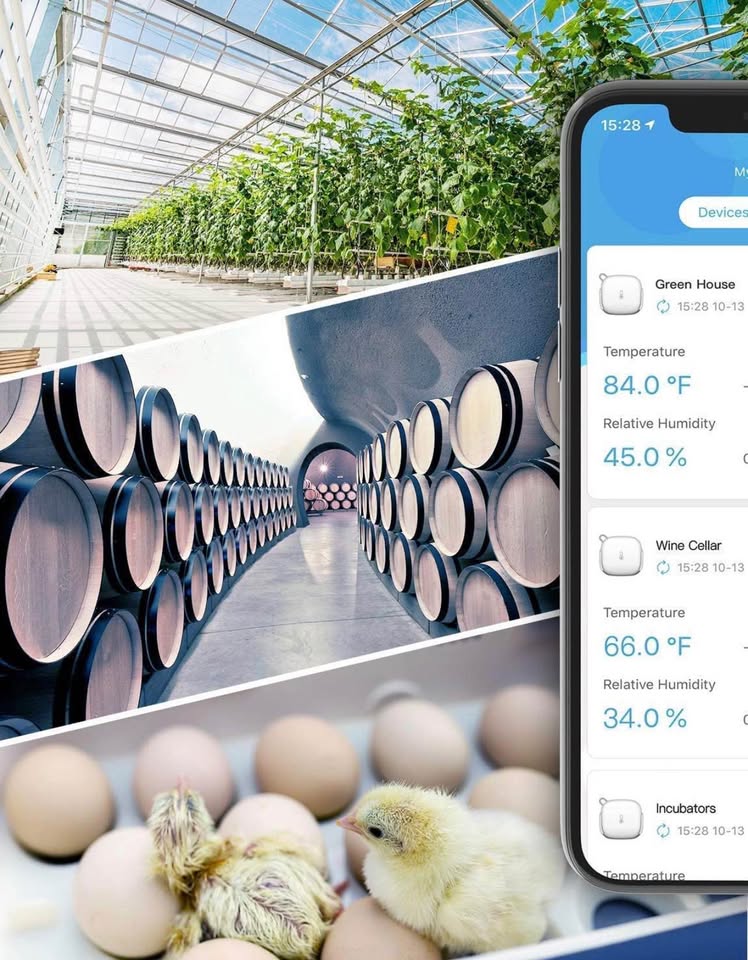 Goveelife WiFi Thermo-Hygrometer