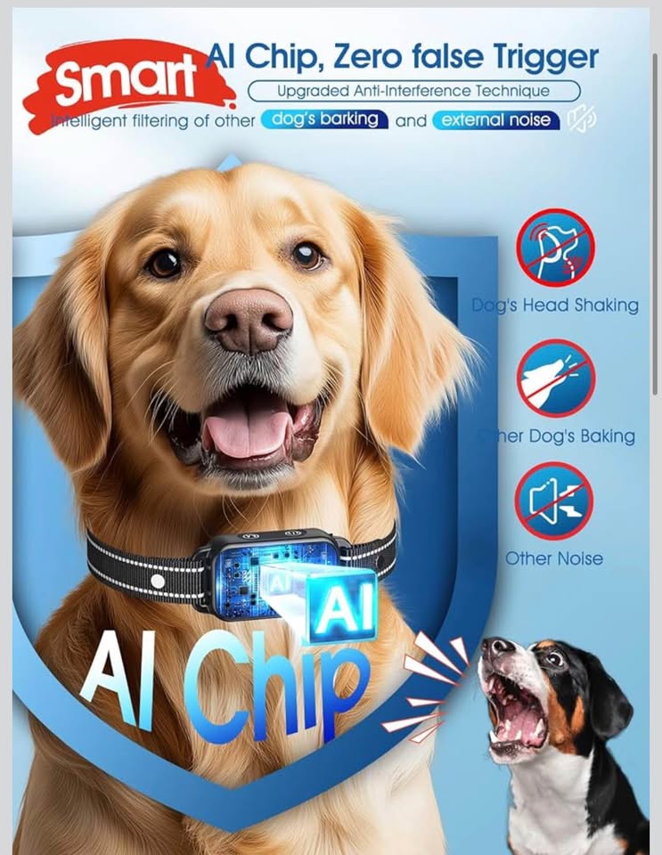 DINJOO Bark Collar, Dog Bark Collar for Large Medium Small Dogs,Smart Bark Collar,Rechargeable Anti