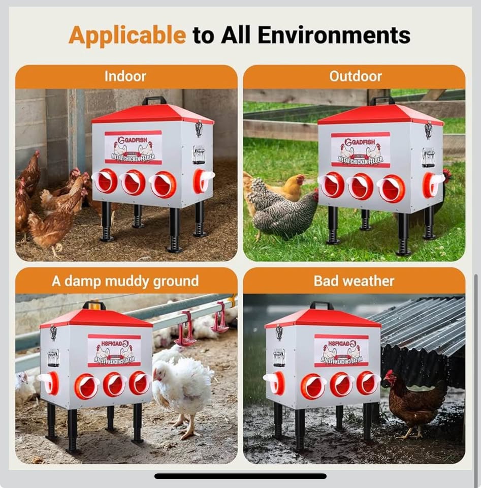 QADFISH 55 LBS Metal Chicken Feeder