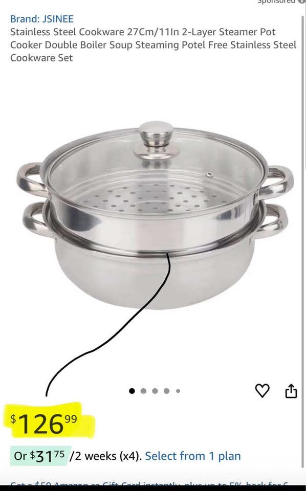 JSINEE Stainless Steel 2-Layer Steamer Pot 27cm/11in