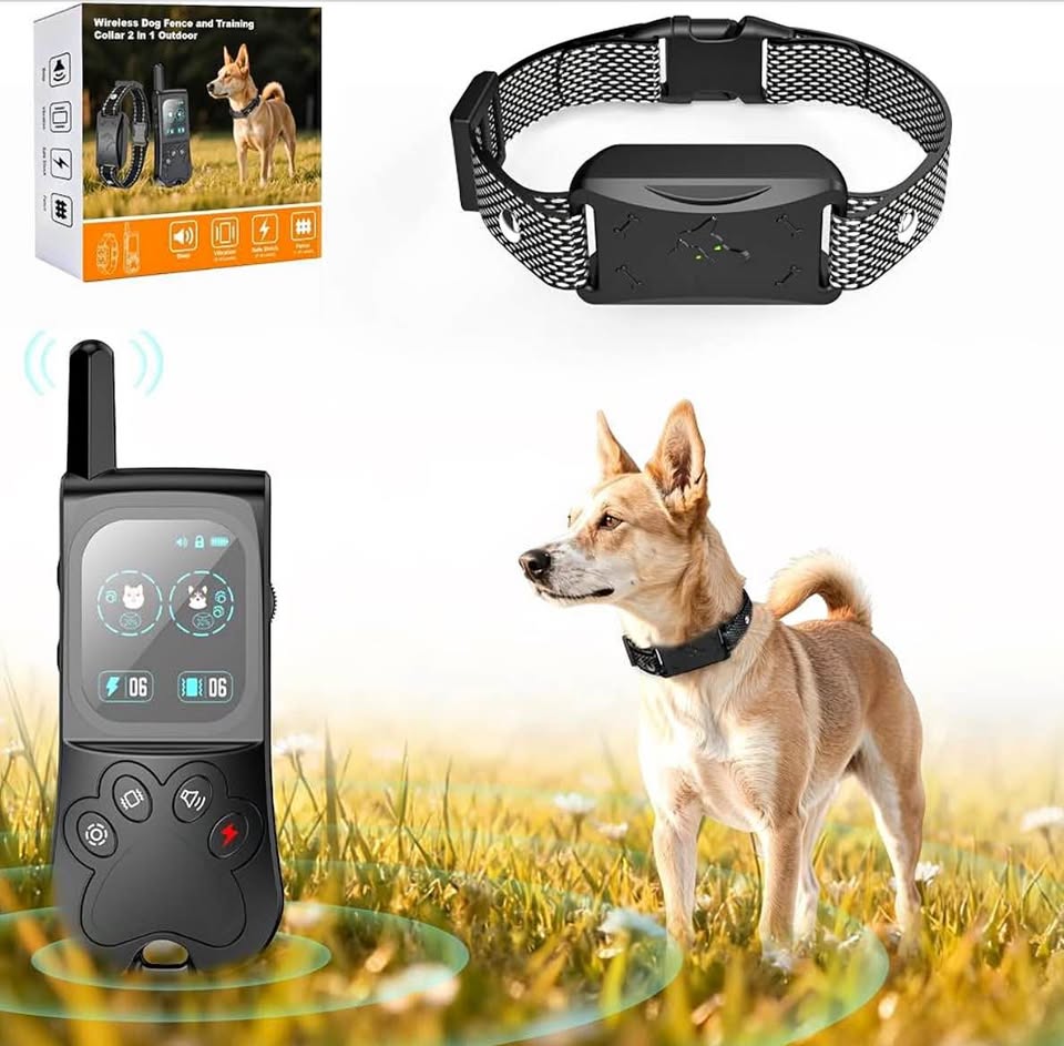 Wireless dog fence and training collar