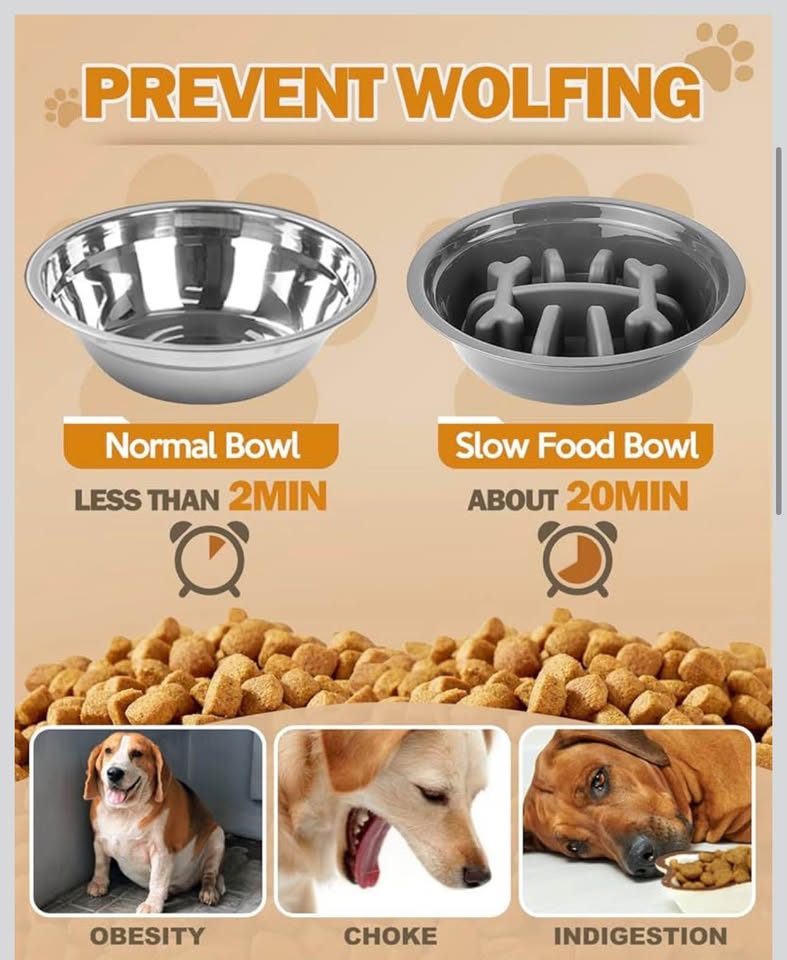 Elevated Dog Bowls with Stand, Raised Dog Bowl Set with 1 Thick Stainless Steel Dog Food Bowls & 1 S